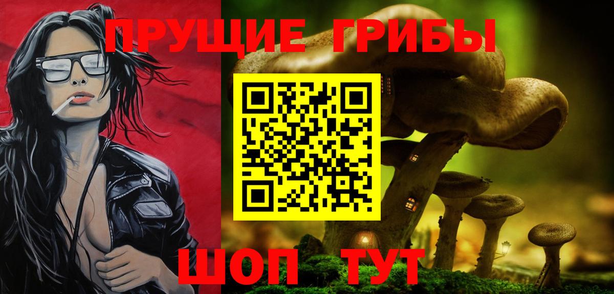 Псилоцибиновые грибы Psilocybine cubensis  Вход с VPN  Горно-Алтайск  Галлюциногенные грибы ЛСД 